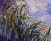 克劳德 莫奈 : Yellow Irises